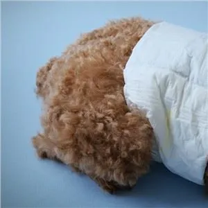 快適な雌犬のおむつ