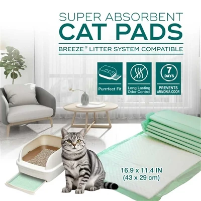 猫用吸収パッド購入ガイド