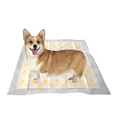 犬用使い捨て健康モニタリングト​​イレパッド
