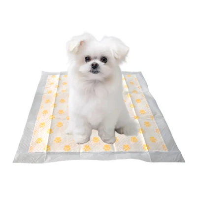 PH テスト使い捨て子犬用パッド